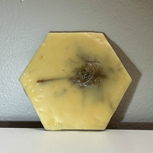 Encaustic Small Hexagon Dried Flower Painting #10