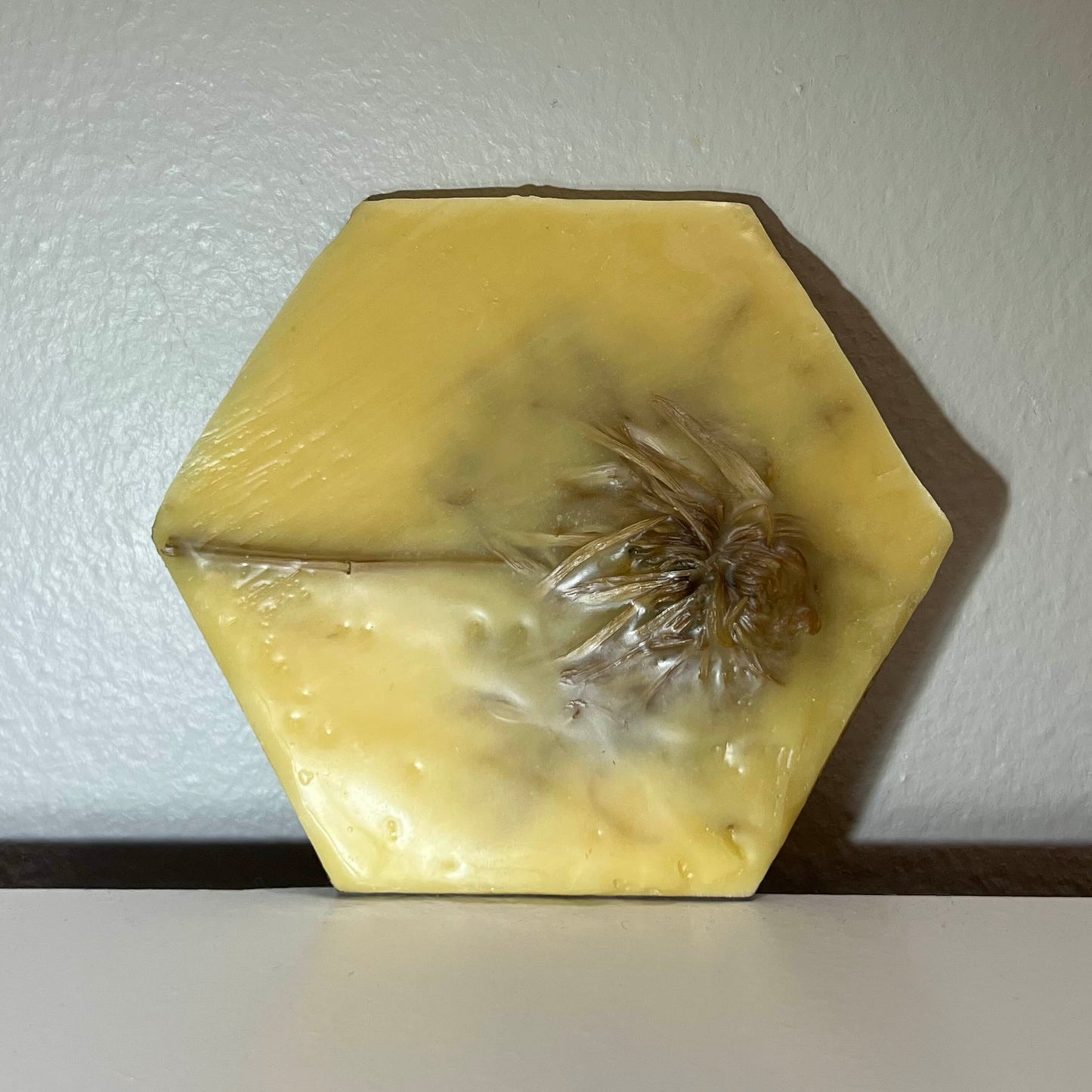 Encaustic Small Hexagon Dried Flower Painting #7