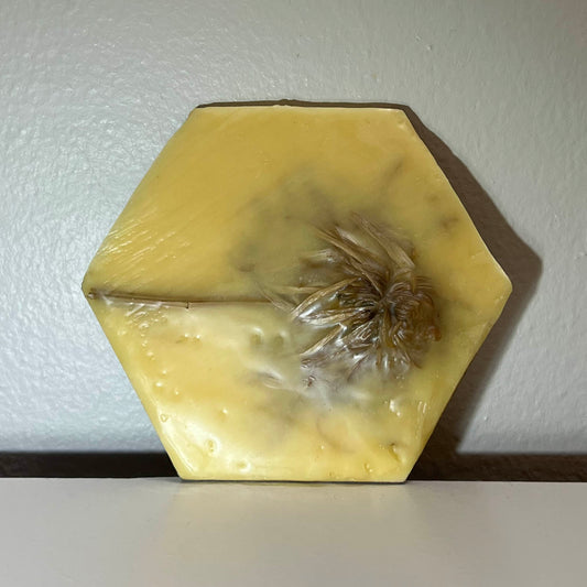 Encaustic Small Hexagon Dried Flower Painting #7