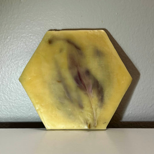 Encaustic Small Hexagon Dried Flower Painting #8