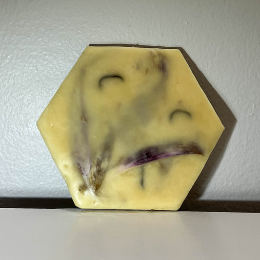 Encaustic Small Hexagon Dried Flower Painting #9